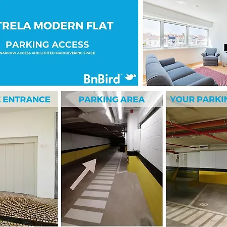 Estrela Modern Flat @ Infante Santo Apartment